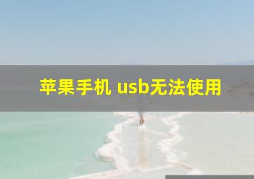 苹果手机 usb无法使用